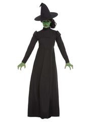 Wicked Witch Costume, Black - 1