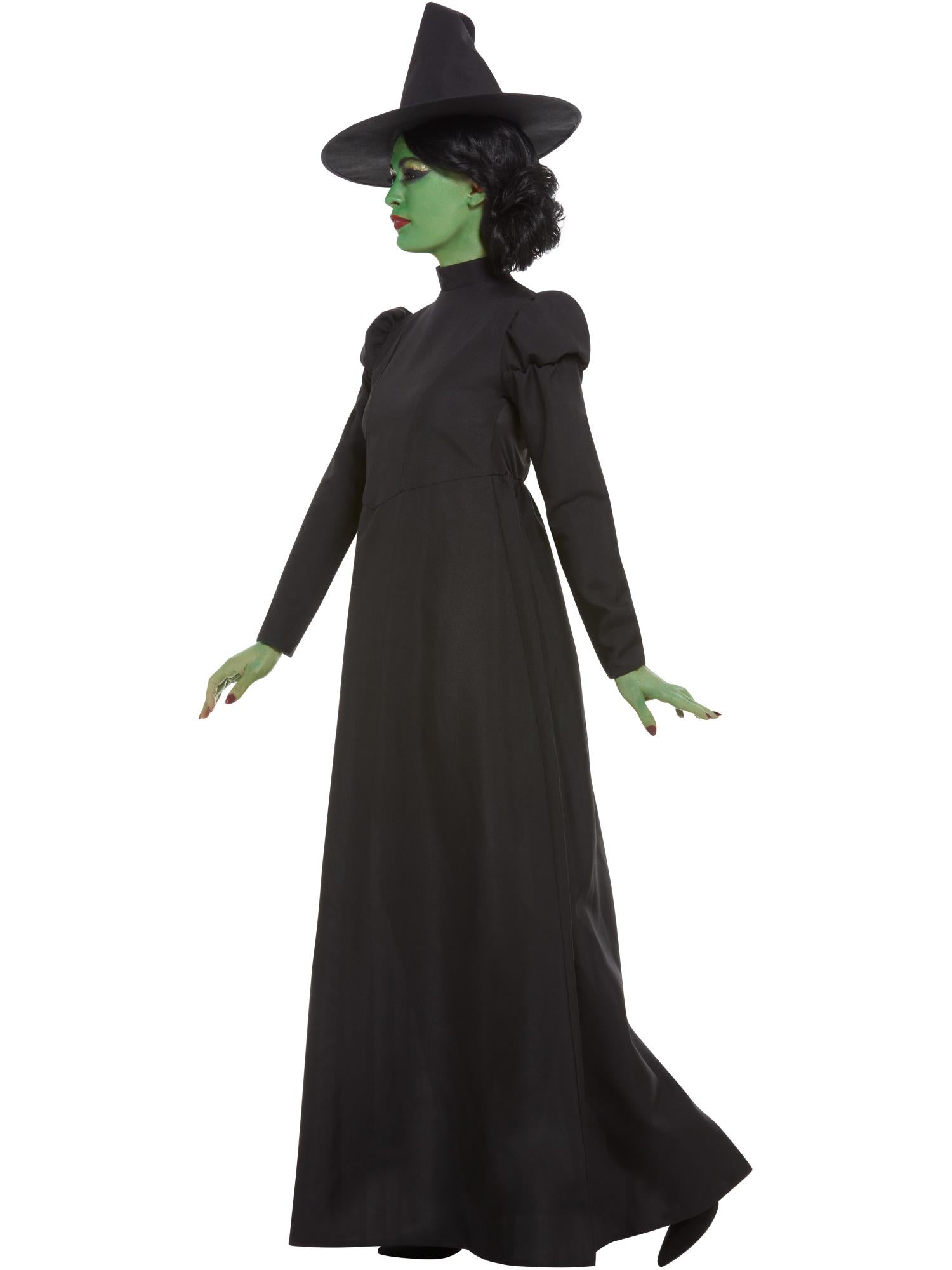 Wicked Witch Costume, Black 3