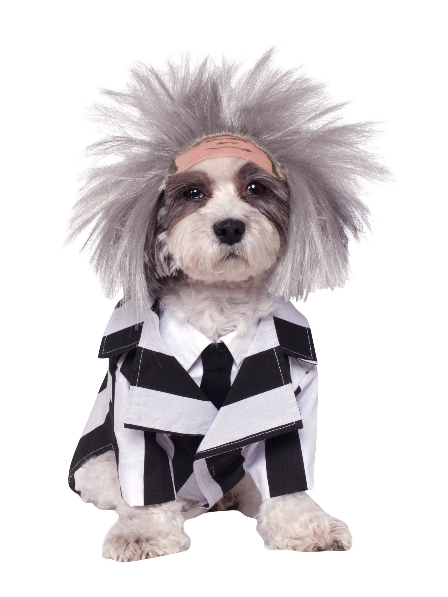 BEETLEJUICE COSTUME