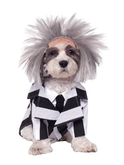 BEETLEJUICE PET COSTUME