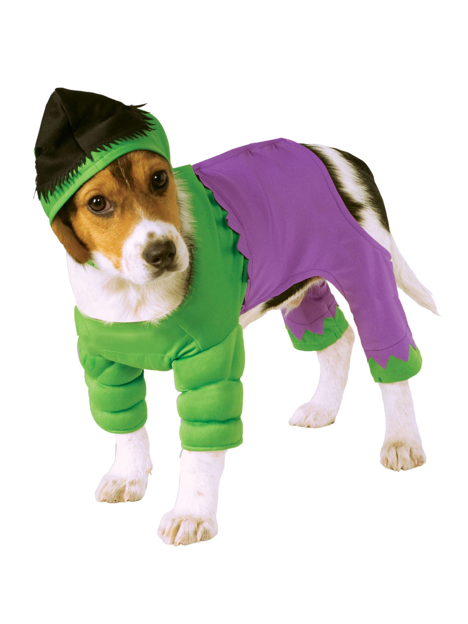 Hulk Pet Costume 1