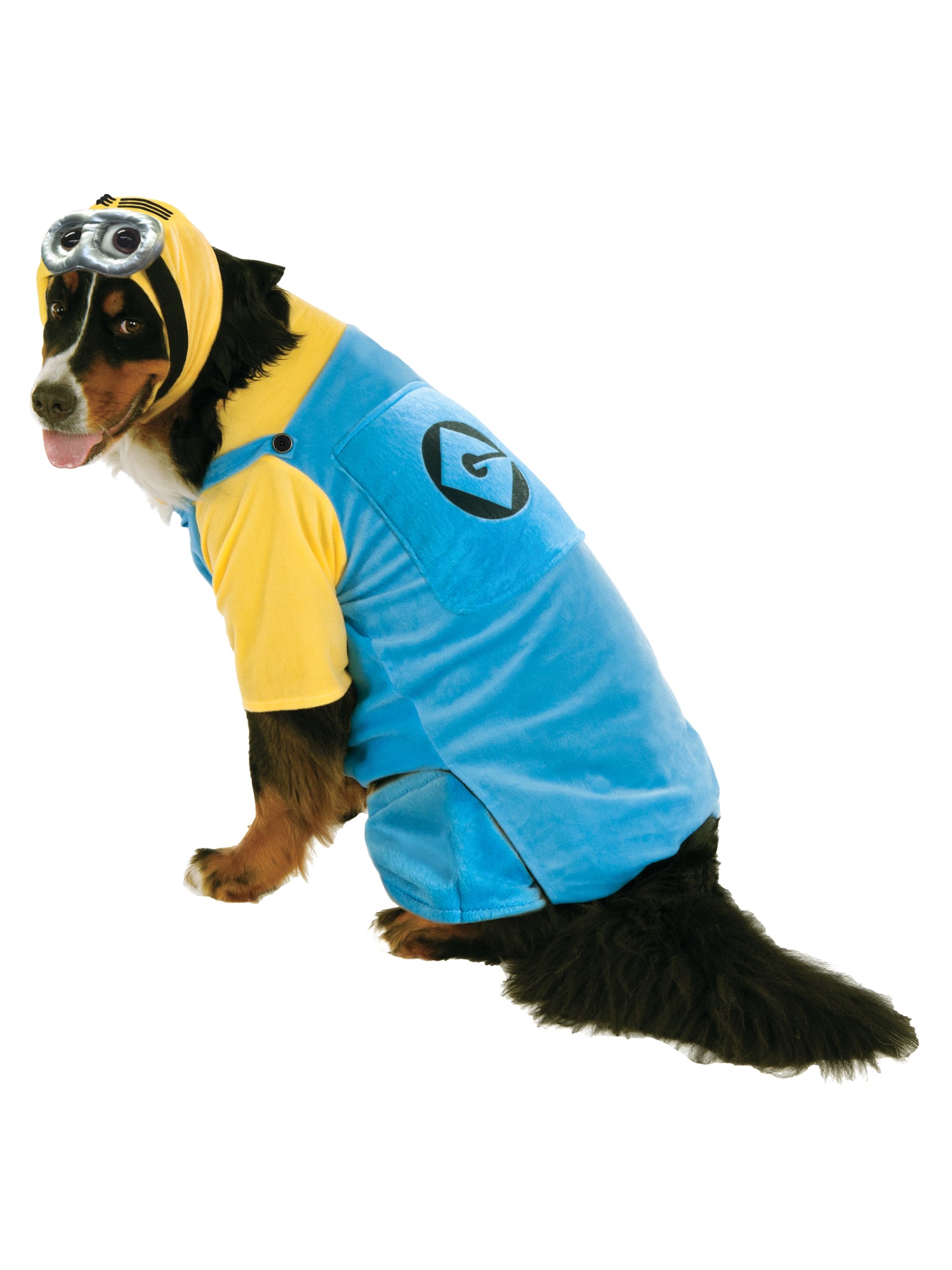 Xxxl Minion Pet Costume