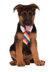 Rainbow Tie Pets