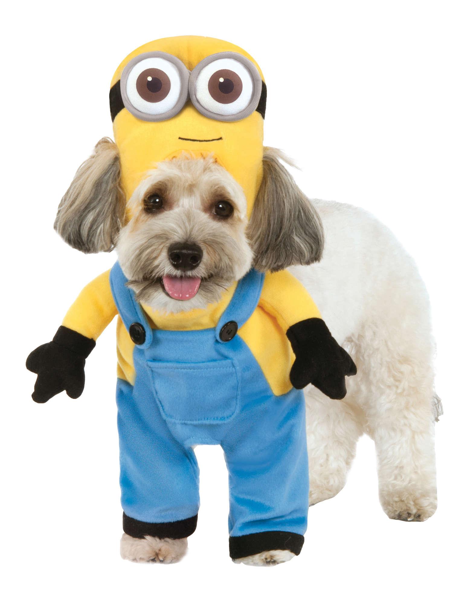 Minion Bob