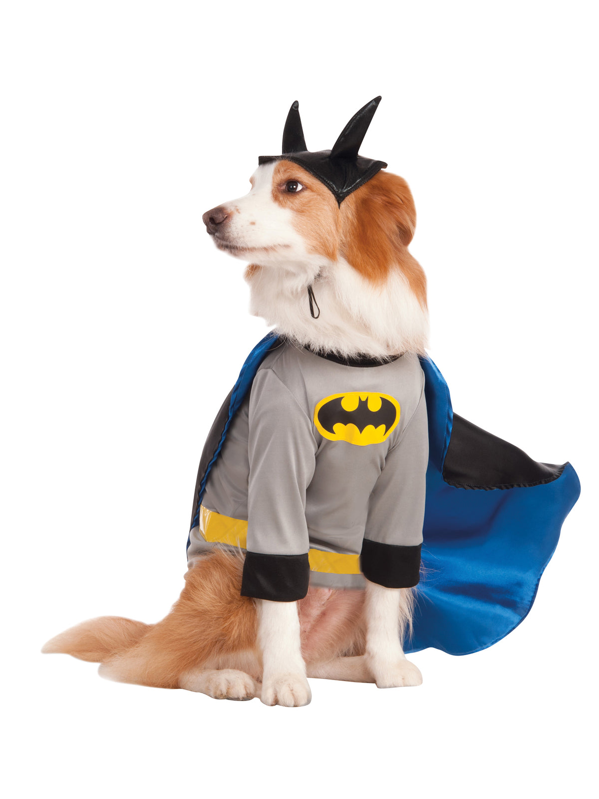 Batman Pet Costume 1