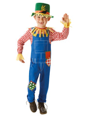 Mr Scarecrow Costume