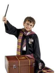 Harry Potter Trunk - 1