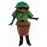 Co-Venus Fly Trap-Std 1