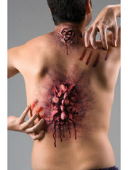 Reel FX Back Ache 1