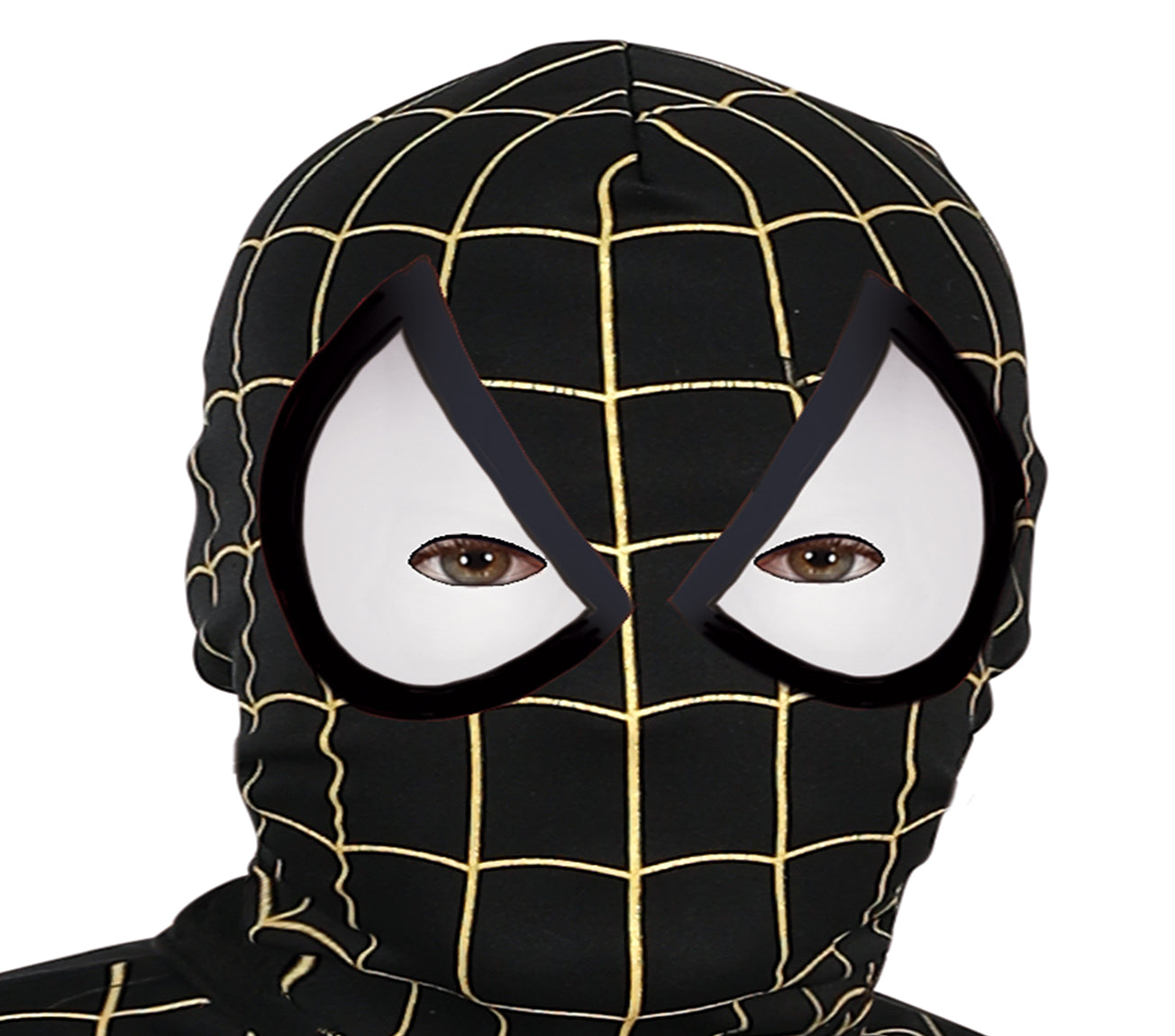 SPIDER HERO
