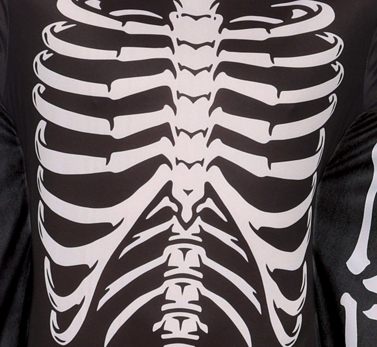 BAT SKELETON, ADULT
