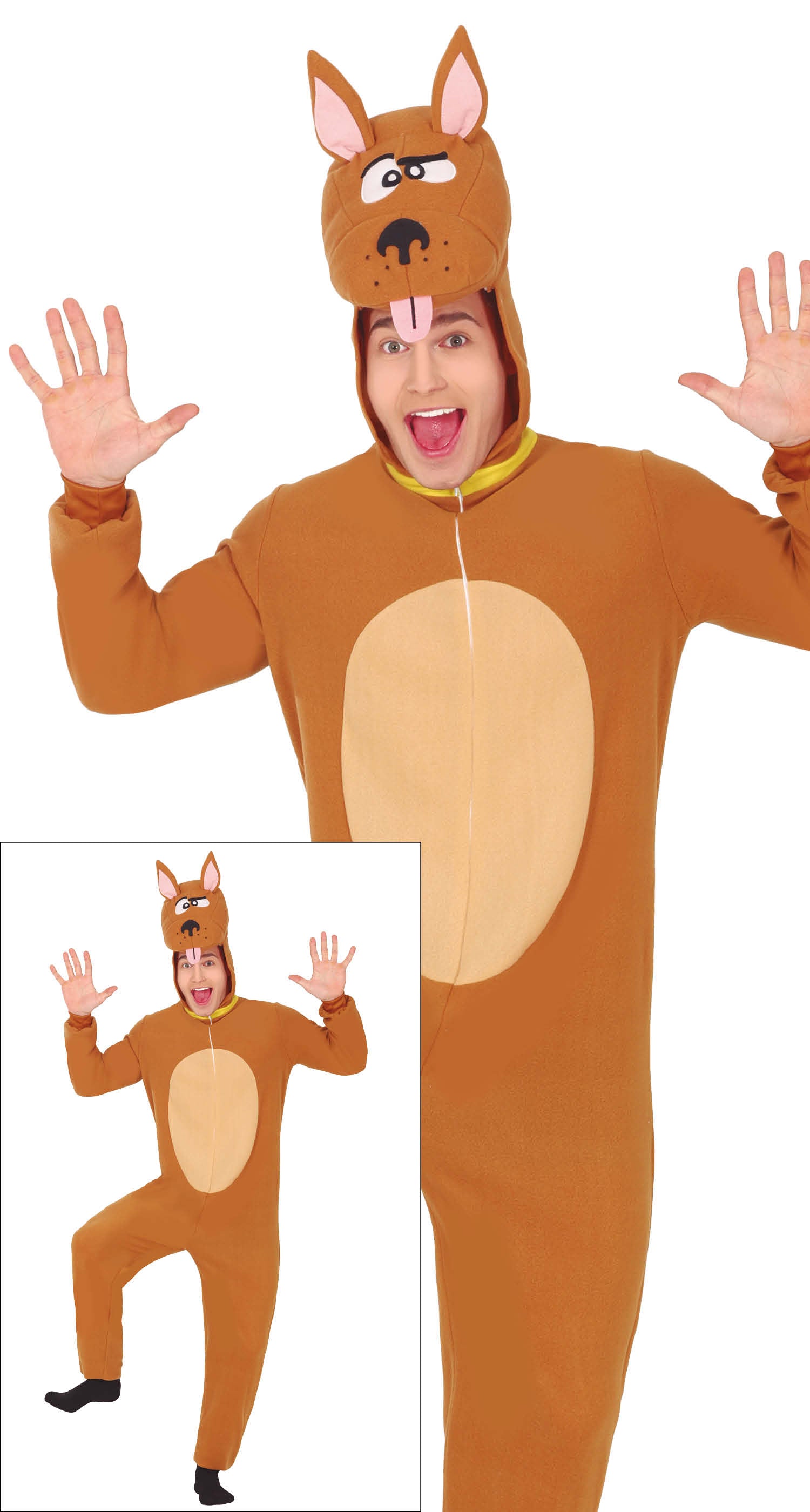 BROWN DOG, ADULT