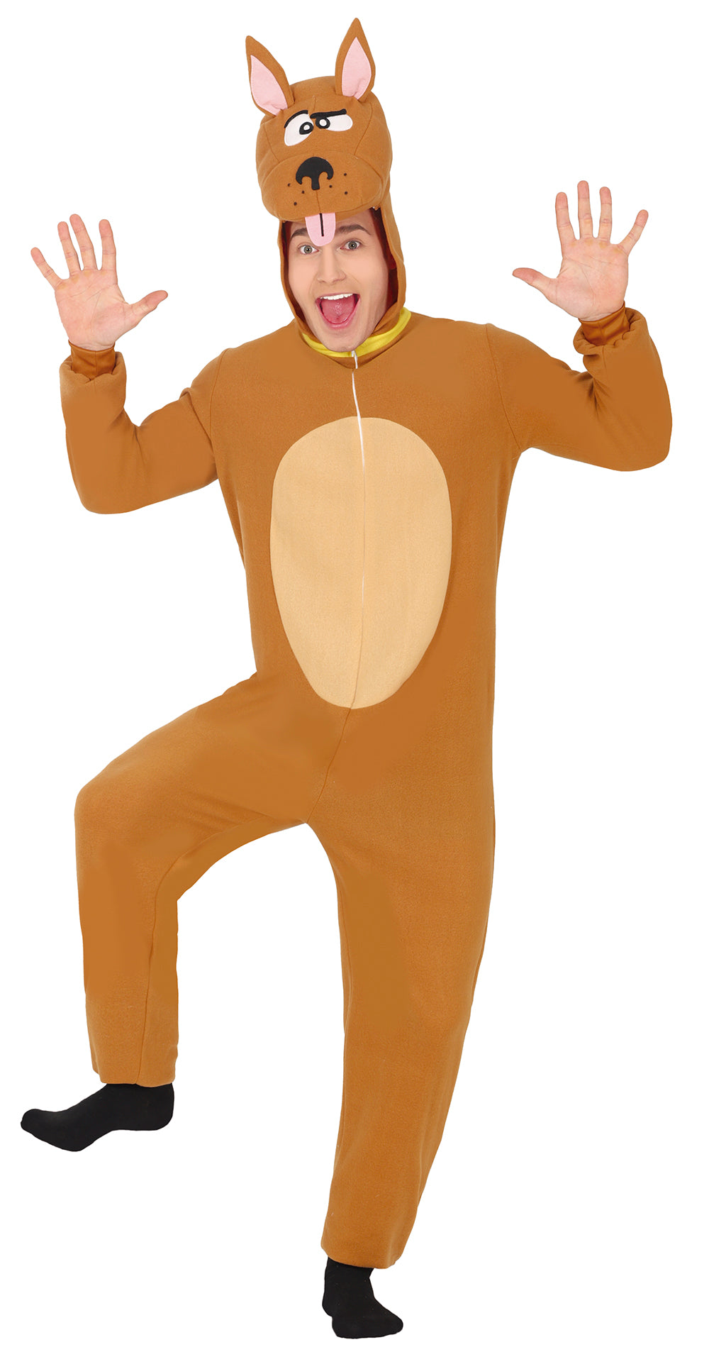 BROWN DOG, ADULT
