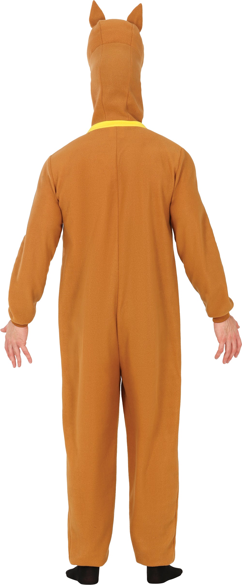 BROWN DOG, ADULT