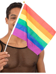 Hand Held Rainbow Flags, 45x30cm, 12Pk 1