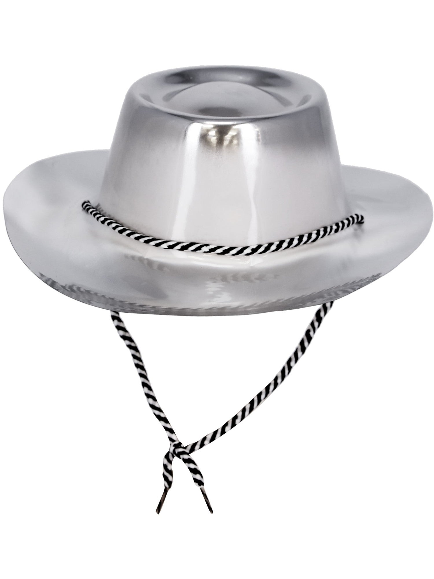 Silver Metallic Cowboy Hat 2