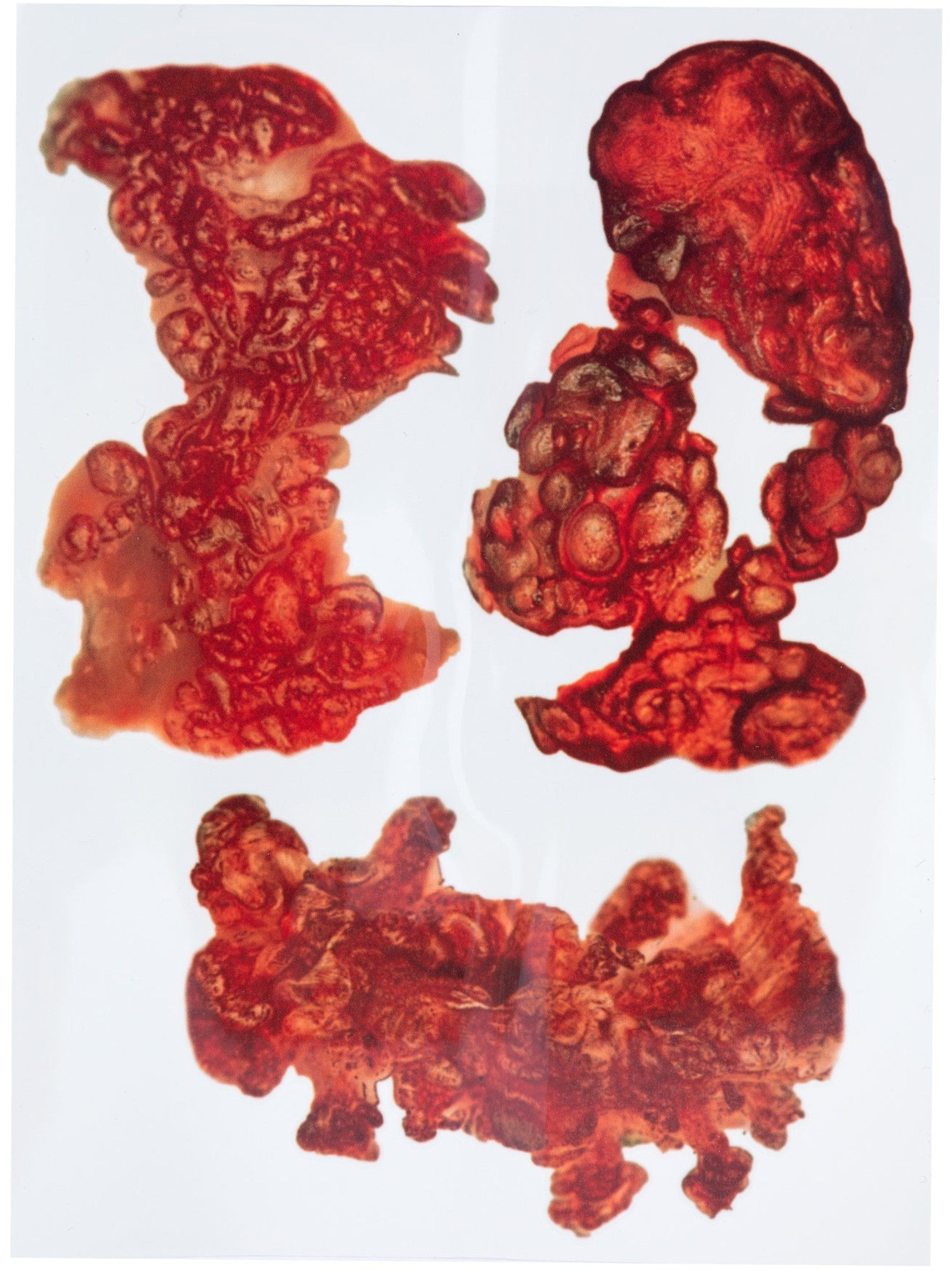 Smiffys Make-Up FX, Burnt Skin Tattoo Transfers 2