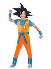 Dragonball Z Goku Costume 1