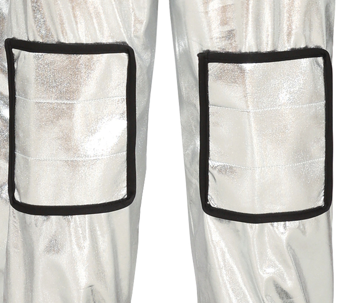 NASA SILVER ASTRONAUT