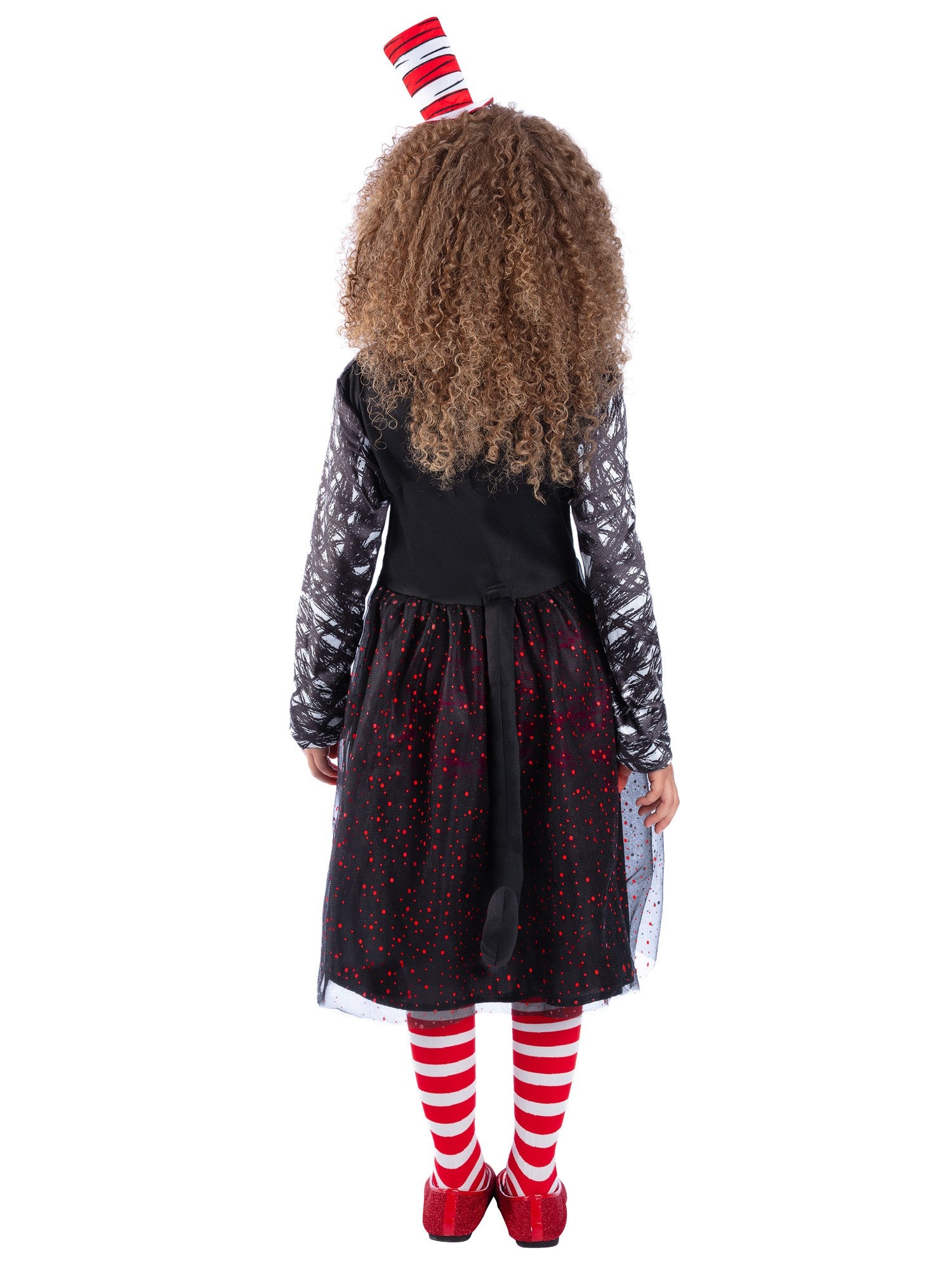 Dr Seuss Cat In The Hat Costume 2