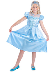 Lost Slipper Princess Costume 1
