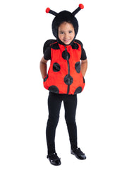 Ladybird Costume - 1