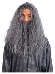 Sorcerer/Wizard Wig & Beard Set, Grey - 1