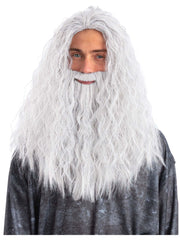 Sorcerer/Wizard Wig & Beard Set, White - 1