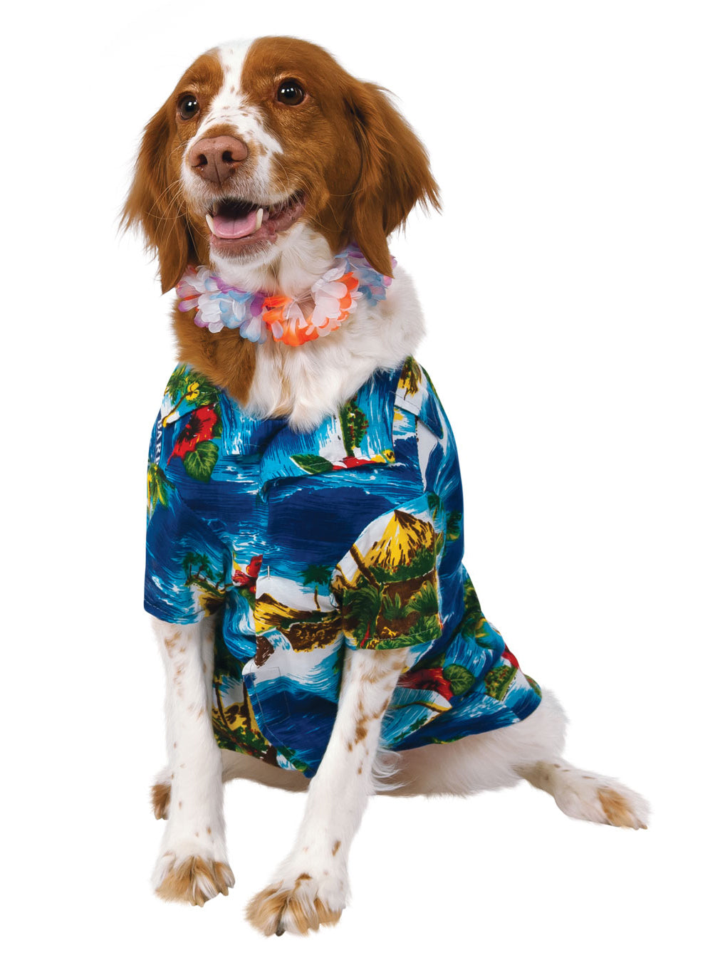 Luau Pet Costume 1