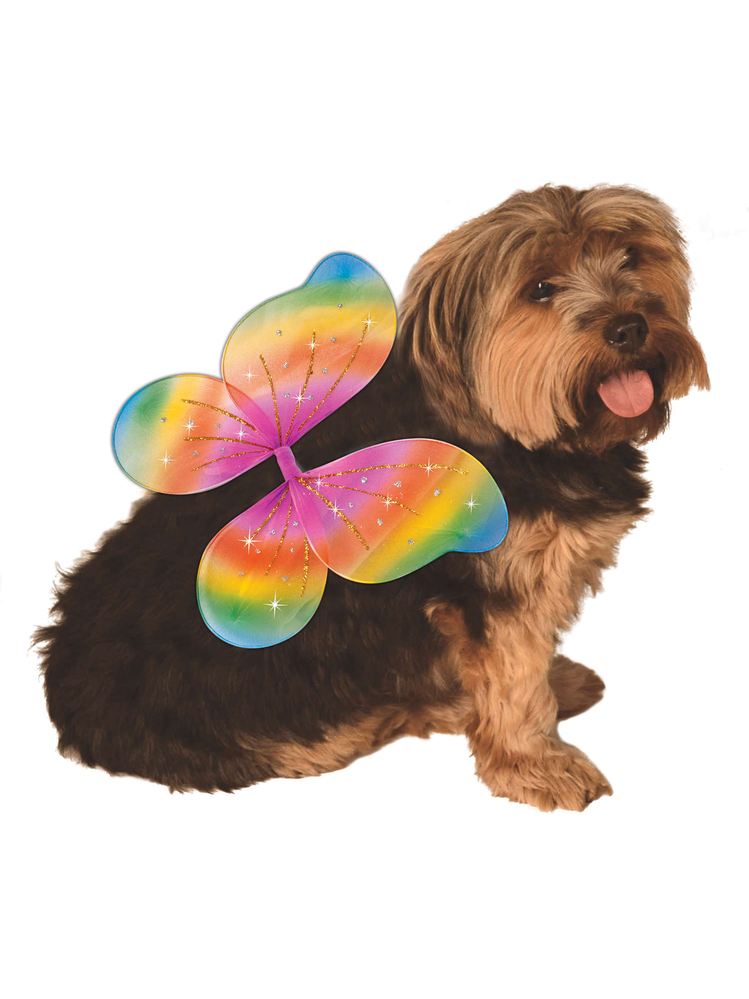 Rainbow Fairy Wings Pet Costume