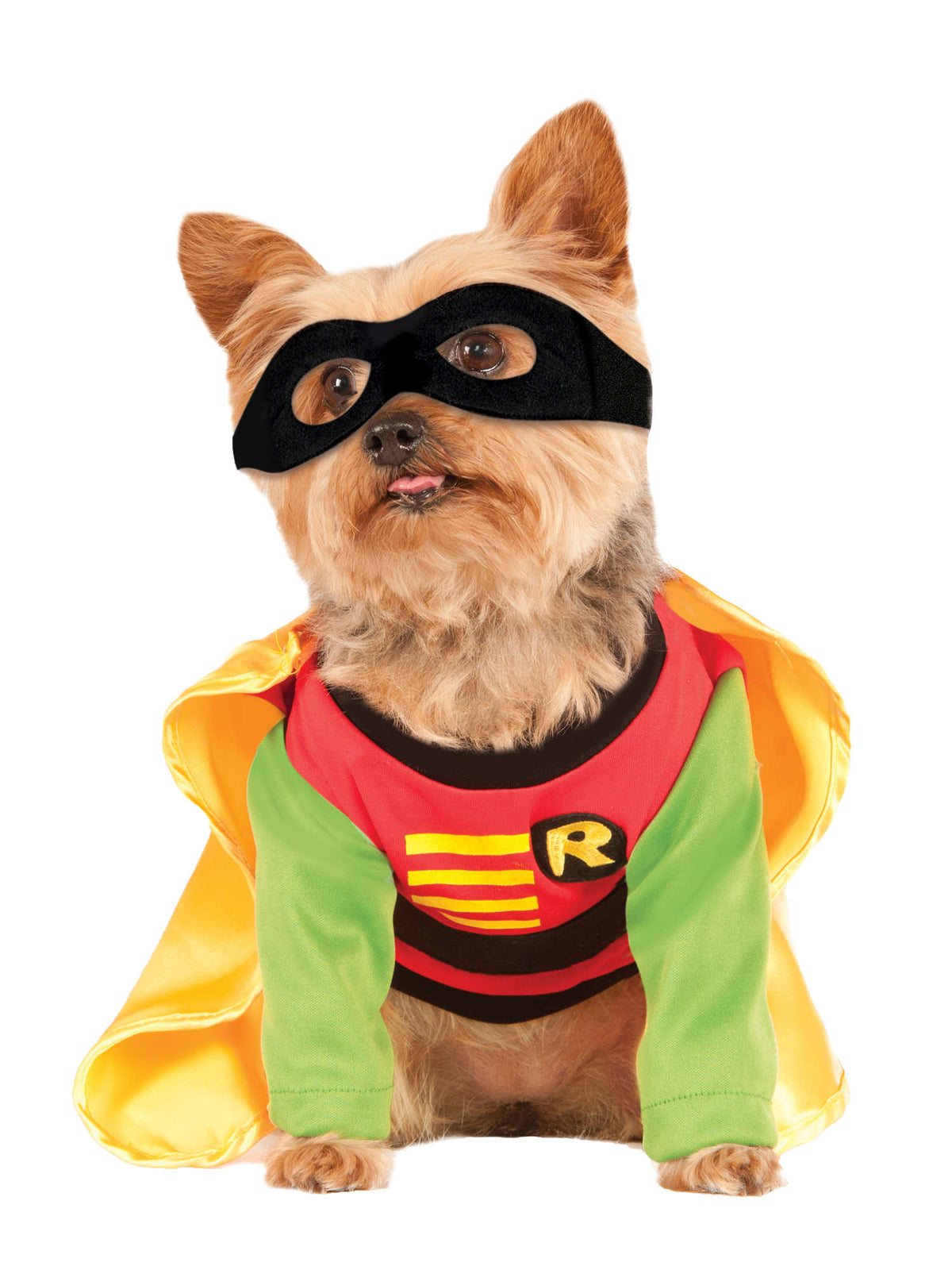 Robin Pet Costume 1