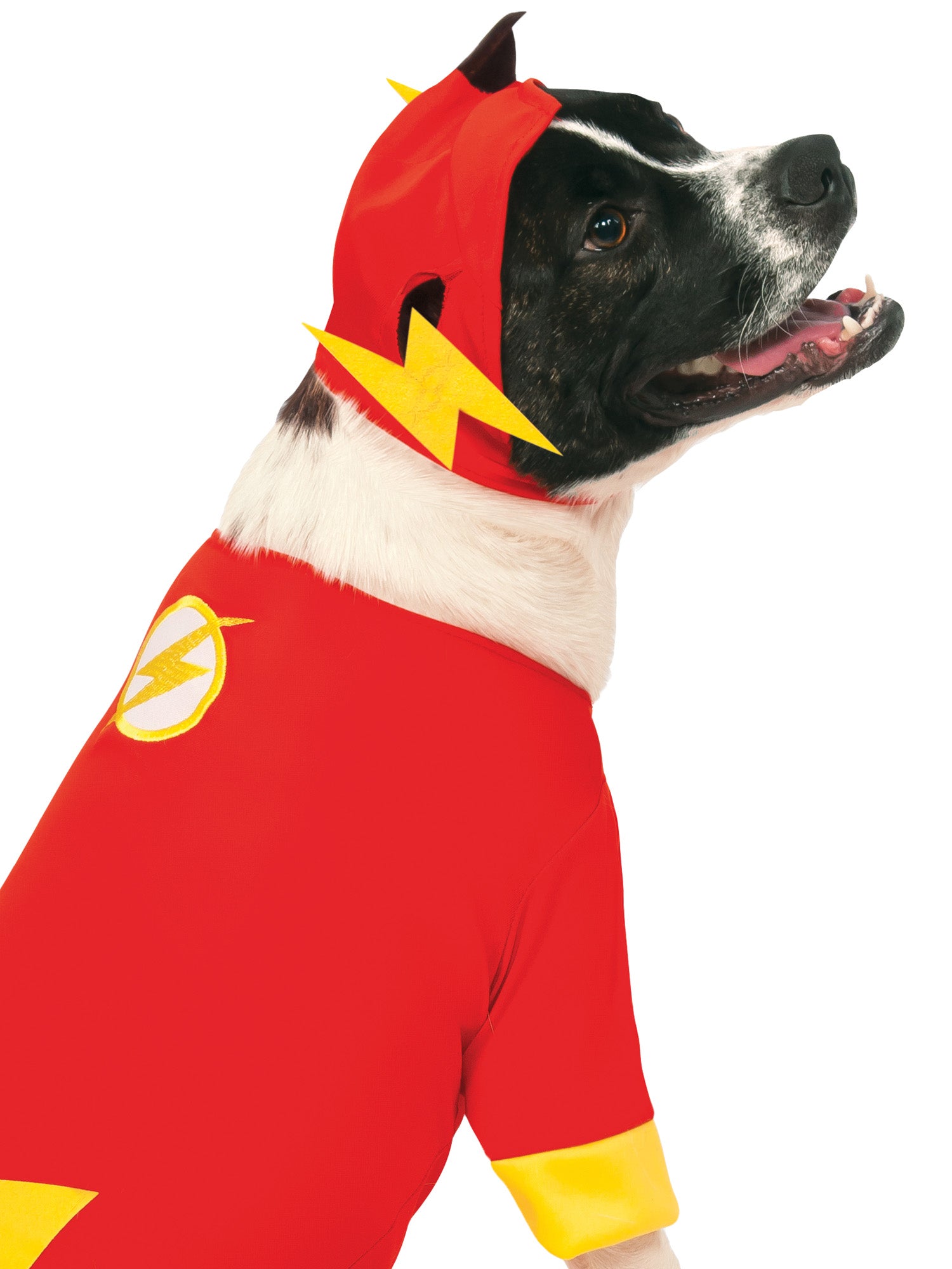 The Flash Pet Costume