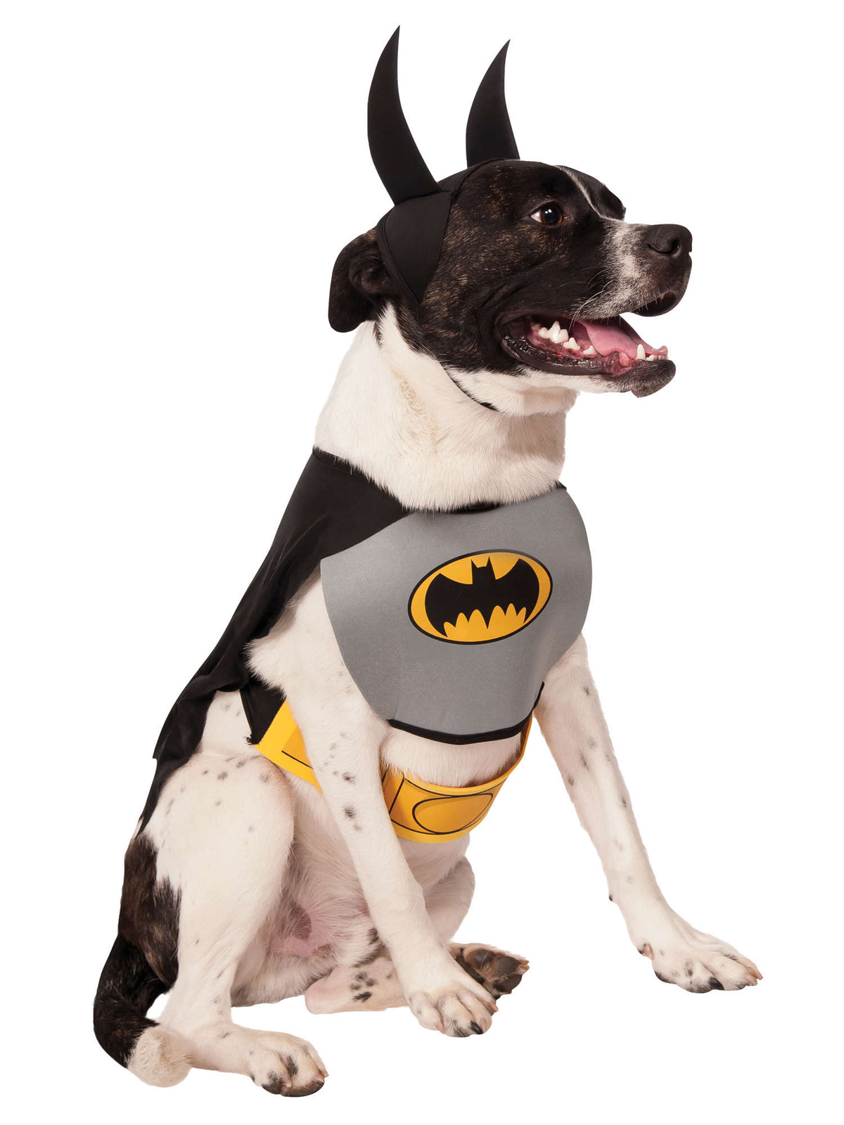 BATMAN CLASSIC PET COSTUME 1