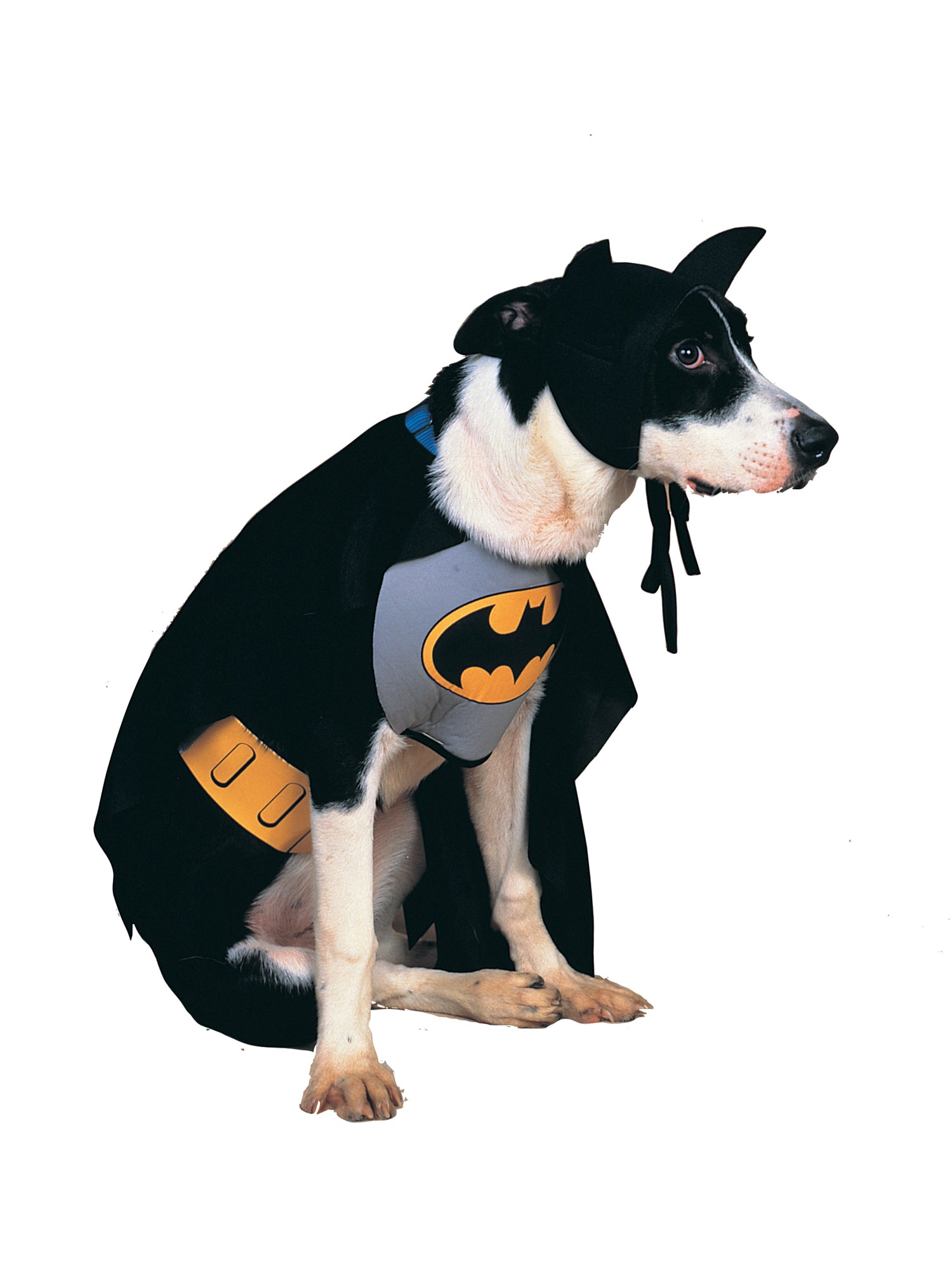 Classic Batman Dog Costume