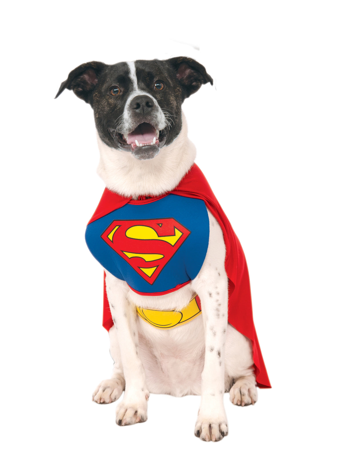 Superman Classic Pet Costume 1