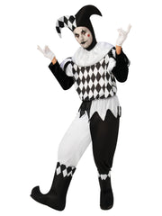 Harlequin Male