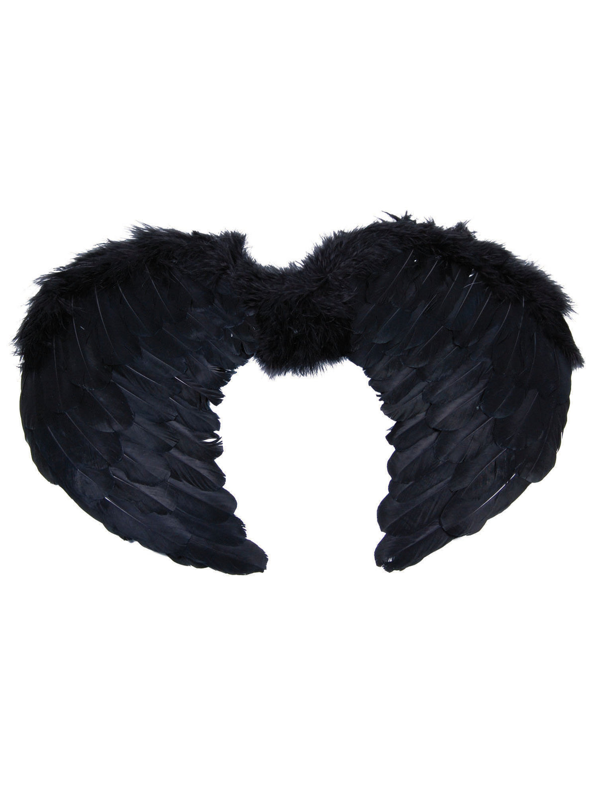Angel Wings Black Feather Mini (B50) 1