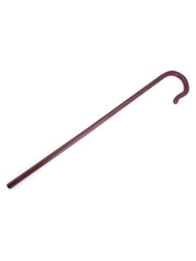 Walking Cane (2pc)