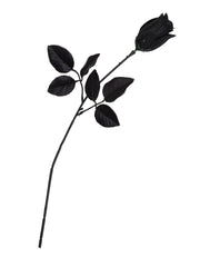 Rose Black
