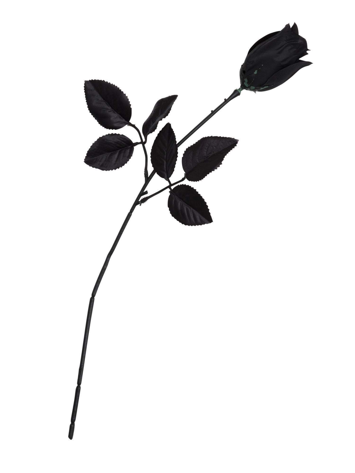 Rose Black