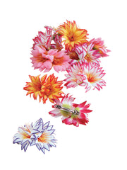 Flower Hair Clip