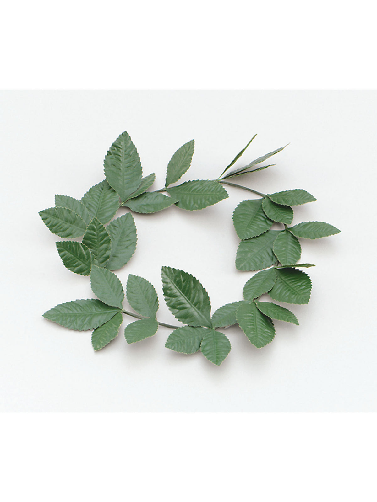 Green Laurel Leaf Headband 1