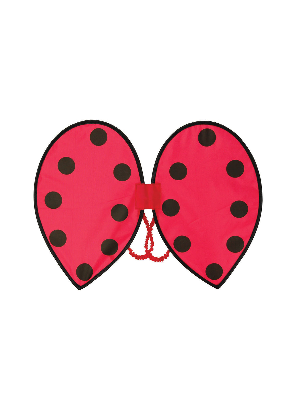 Ladybird Wings 1