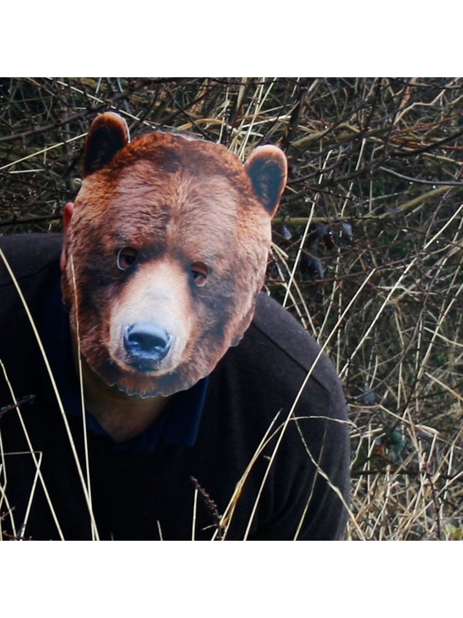 BEAR ANIMAL MASK 2