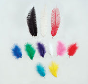 Coloured Feathers 5 pack