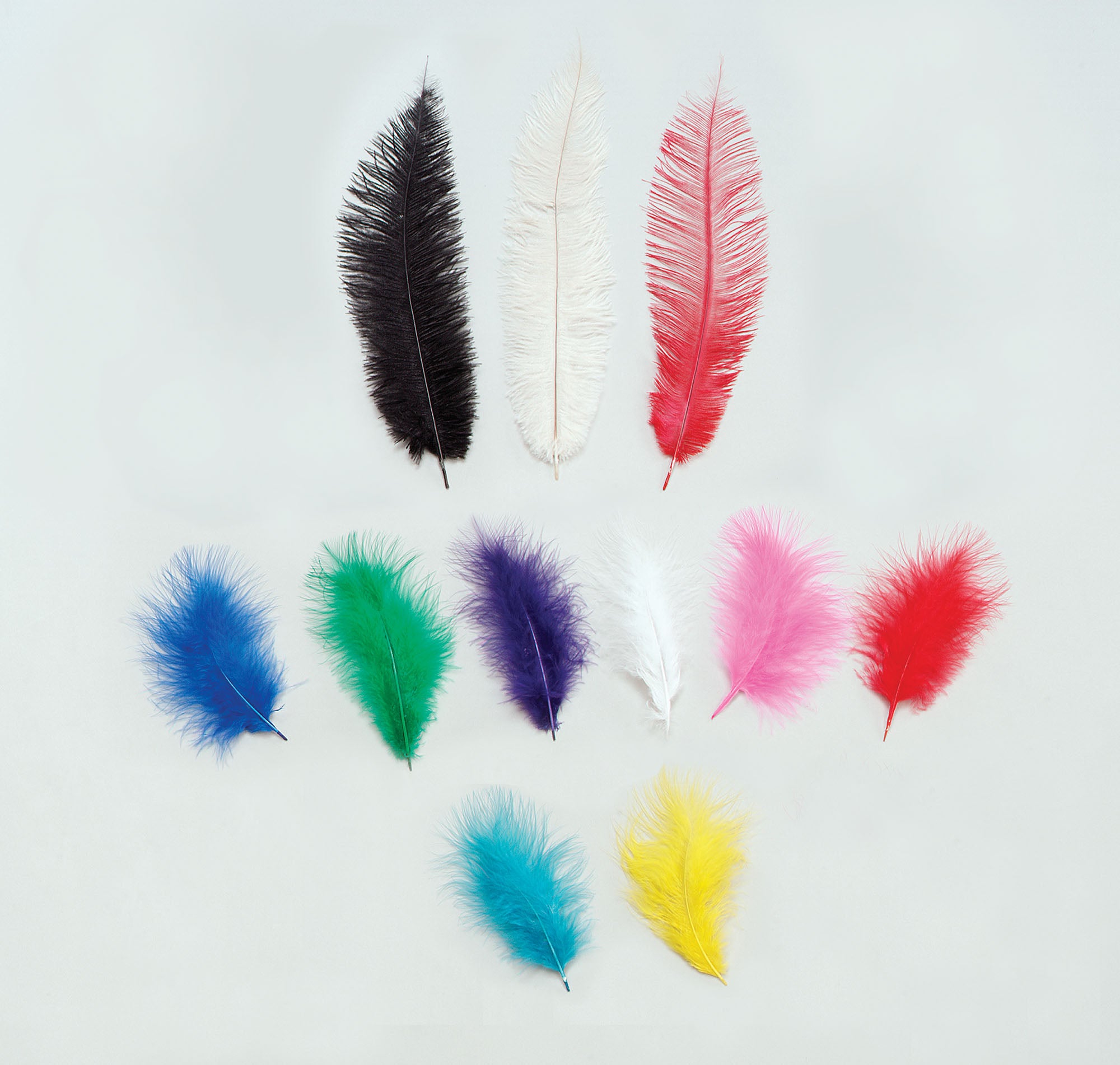 Coloured Feathers 5 pack