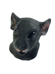 Rat Mask 1