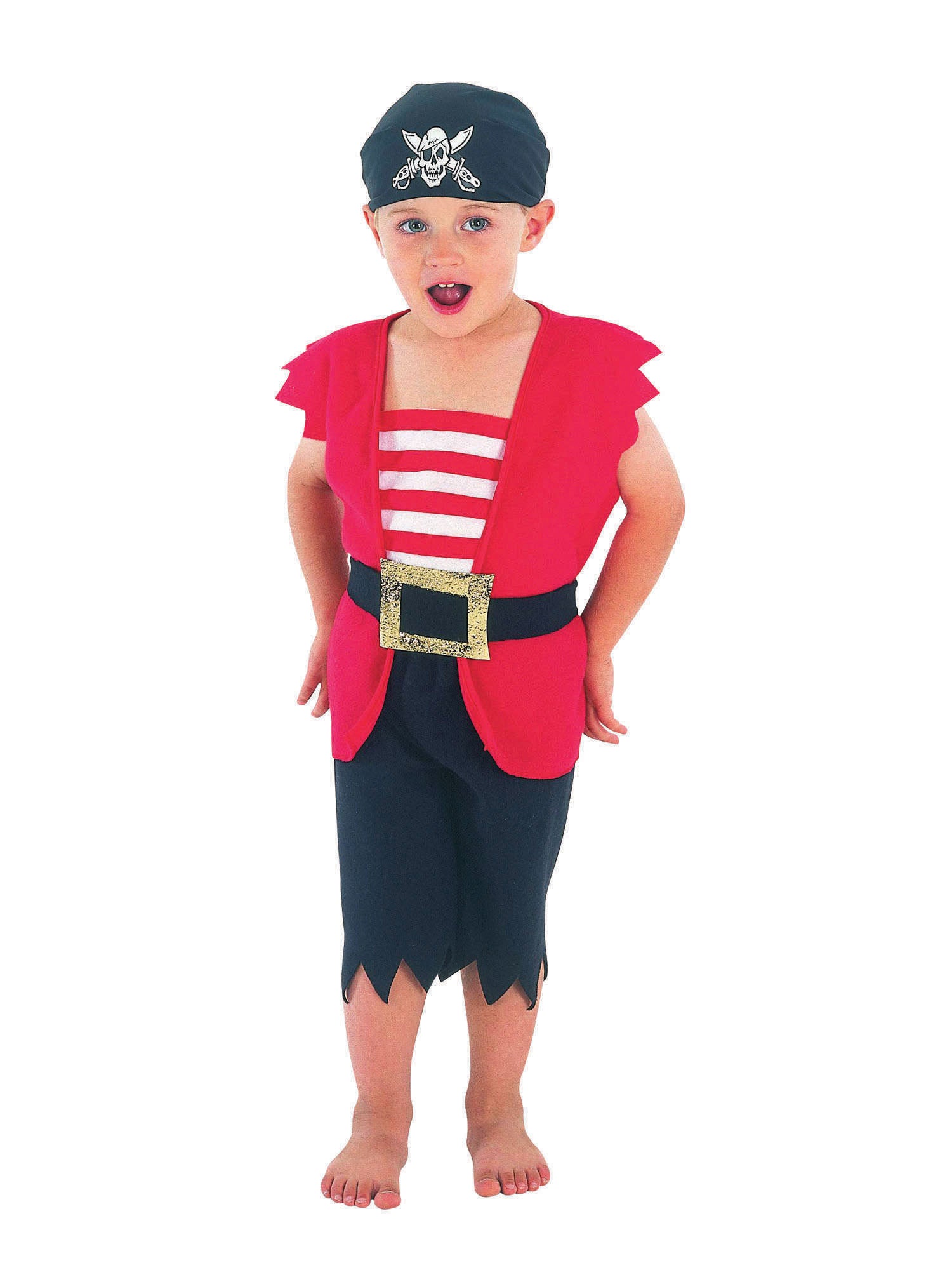 Pirate Boy Toddler Costume