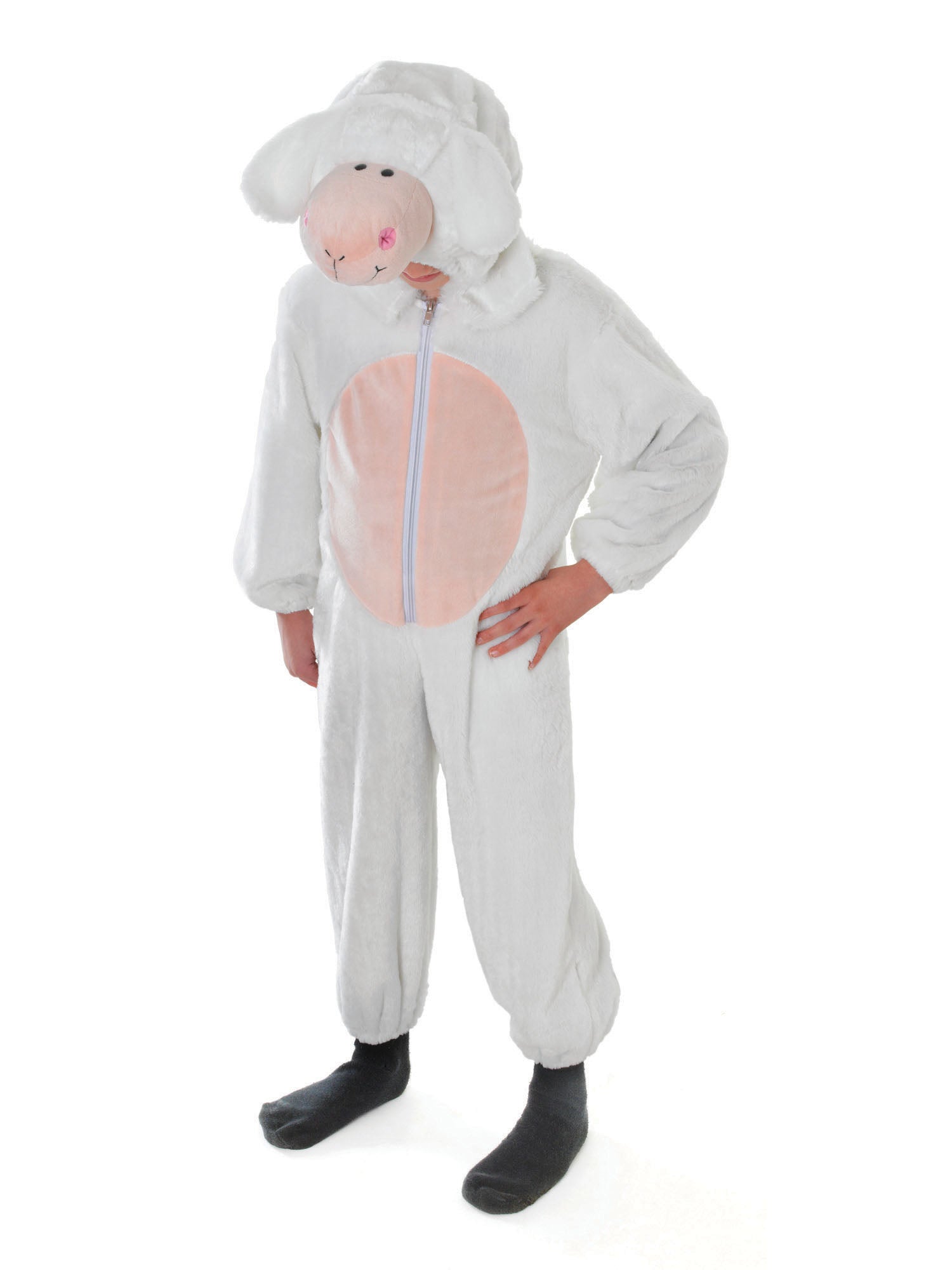 Sheep