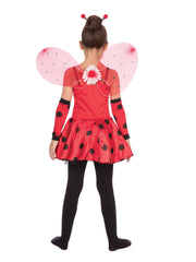 Ladybug